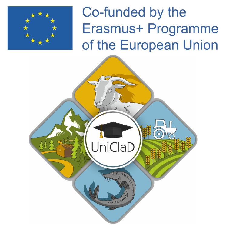 Видеопрезентация  партнеров  проекта UniClaD