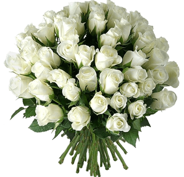 FELICITARE!