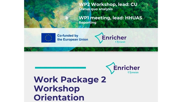 The second online meeting of the working group of experts of Comrat State University within the international project ENRICHER - hubs was held