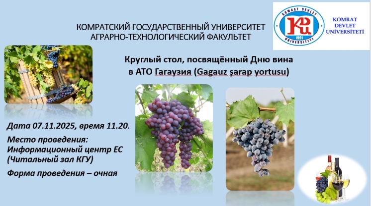 Круглый стол, посвящённый Дню вина в АТО Гагаузия (Gagauz şarap yortusu)