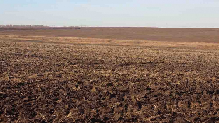 В Гагаузии разрабатывают электронную карту почв