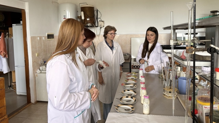 Universitatea de Stat din Comrat: rezultatele etapei a III-a a proiectului LACTANOX — elaborarea tehnologiei de producere a produselor probiotice cu bacterii lactice locale și miere