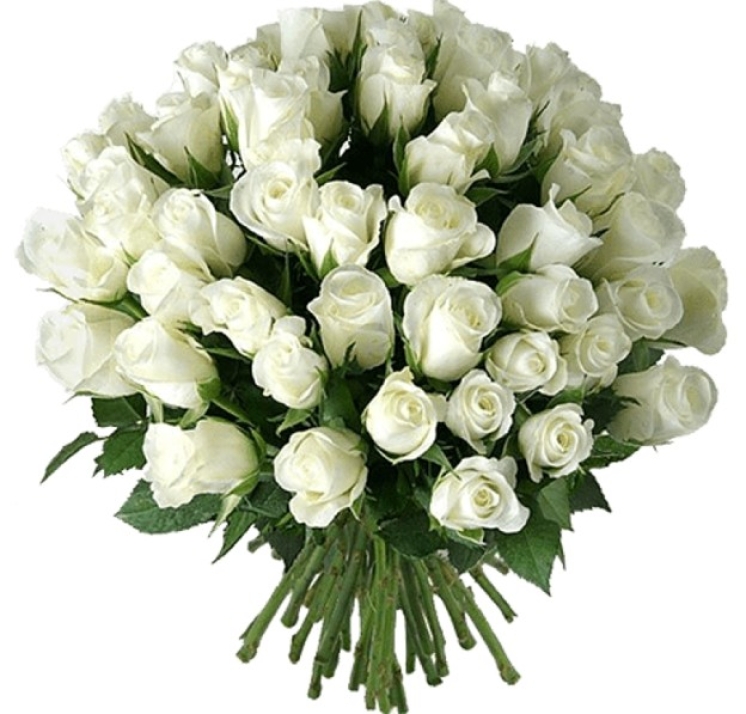 Doğum günü tebriği